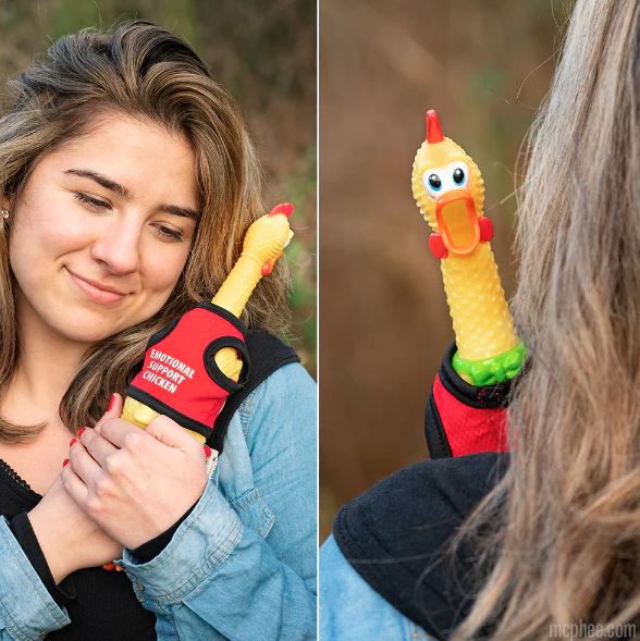 Emotional Support Chicken