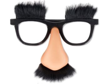 Deluxe Disguise Glasses