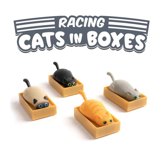 Racing Cats in Boxes