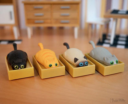 Racing Cats in Boxes