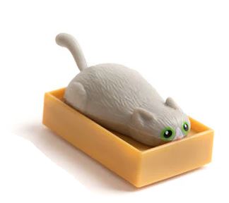 Racing Cats in Boxes